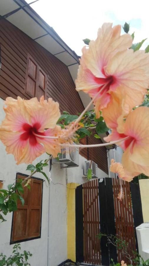 Experience Island Heritage Home Pantai Kok Extérieur photo